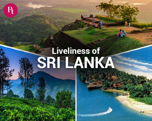 Liveliness of Srilanka Tour